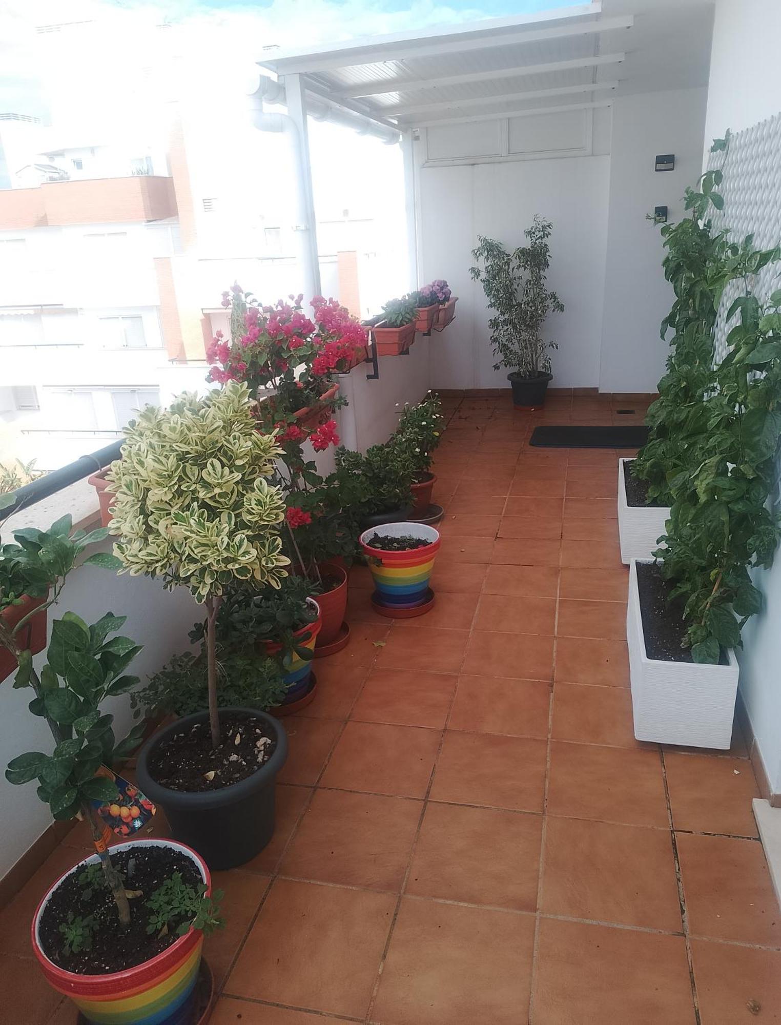 Apartamento Golf, Piscina,Playa Roquetas de Mar Exterior foto